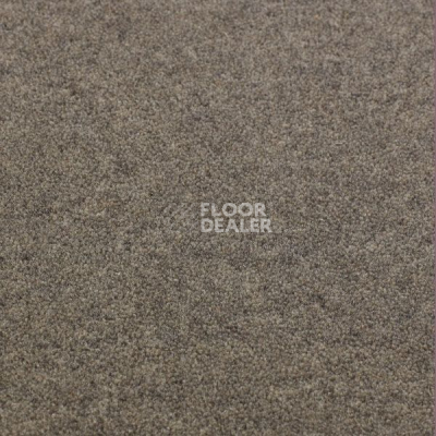 Ковролин Jacaranda Carpets Bilpar Steel Grey фото 1 | FLOORDEALER